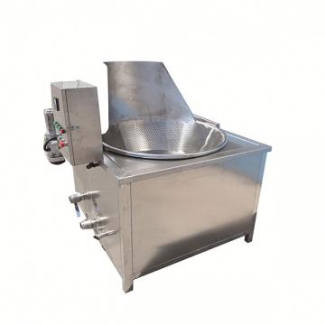 Professional Small Deep Fat Fryer for Industrial Use