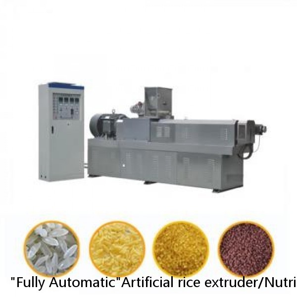 "Fully Automatic"Artificial rice extruder/Nutritional rice making machine/Artificial rice process line
